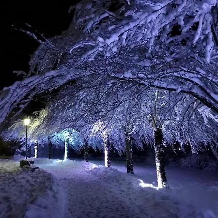 Schoene Bergsicht Daire *