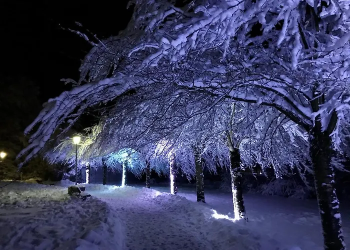 Schoene Bergsicht Daire *