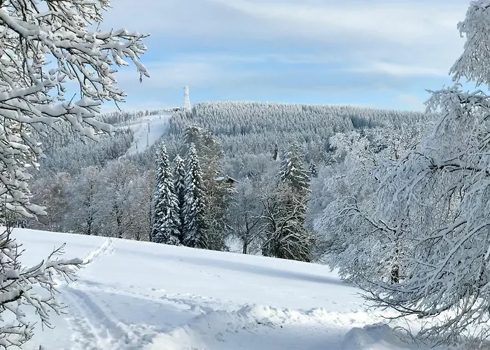 Schoene Bergsicht Daire *