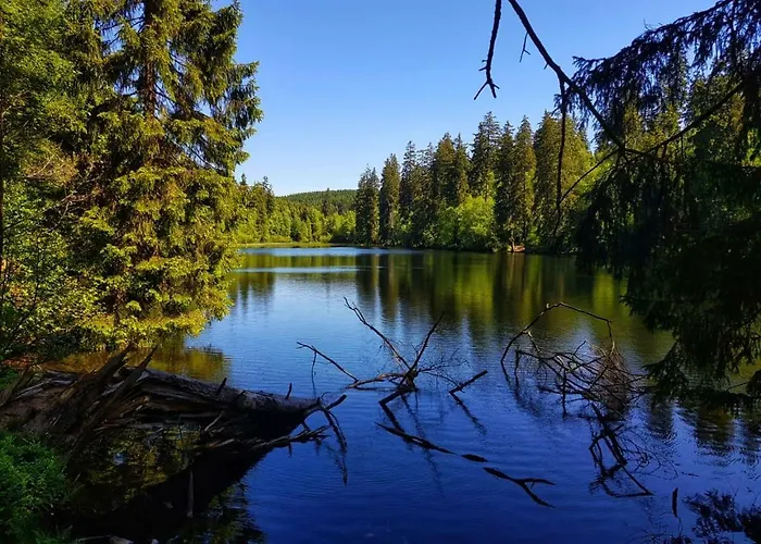 Daire Schoene Bergsicht